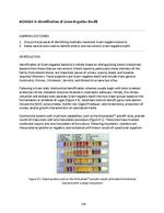 Microbiology Module 9: ID of Gram-Negative Bacilli
